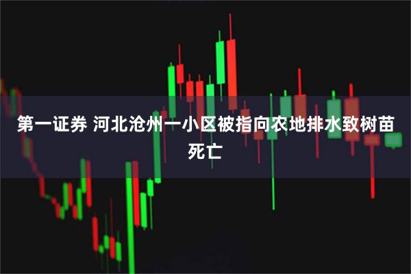 第一证券 河北沧州一小区被指向农地排水致树苗死亡