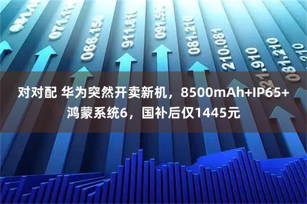 对对配 华为突然开卖新机，8500mAh+IP65+鸿蒙系统6，国补后仅1445元